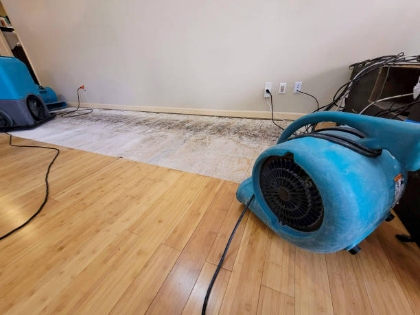 Professional Water Extraction technician working in Berwick, ME